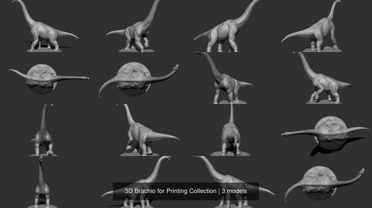 3D Brachio for Printing Collection