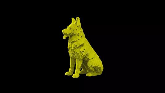 Dog voxel