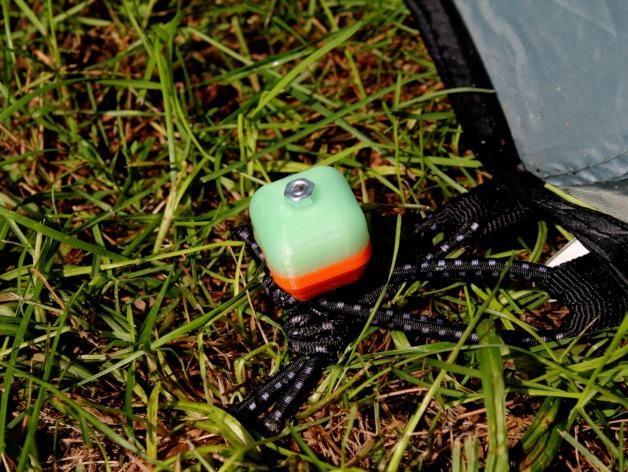 Two-colored tent nail, Luminous at night