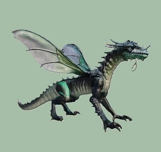 Dragon Wyvern Hybrid – Mystic Guardian