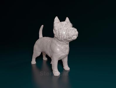 West highland white terrier