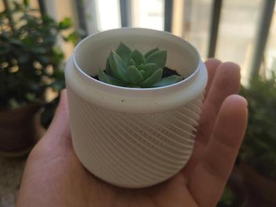 Lenta Suculenta – Succulent Planter