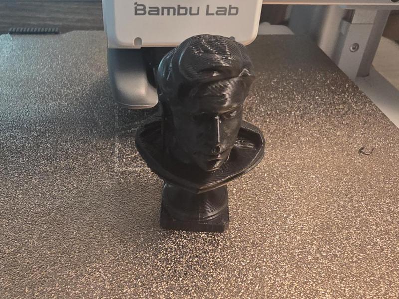 Lodi Destiny 2 Bust