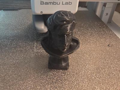 Lodi Destiny 2 Bust