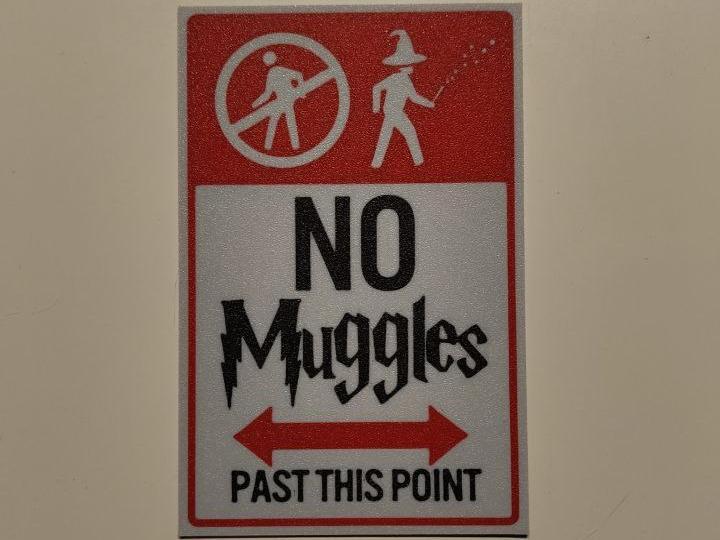 No muggles poster wall art