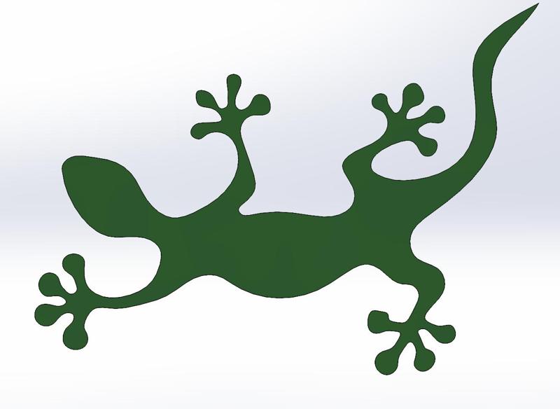 Lizard