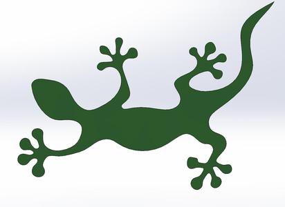Lizard