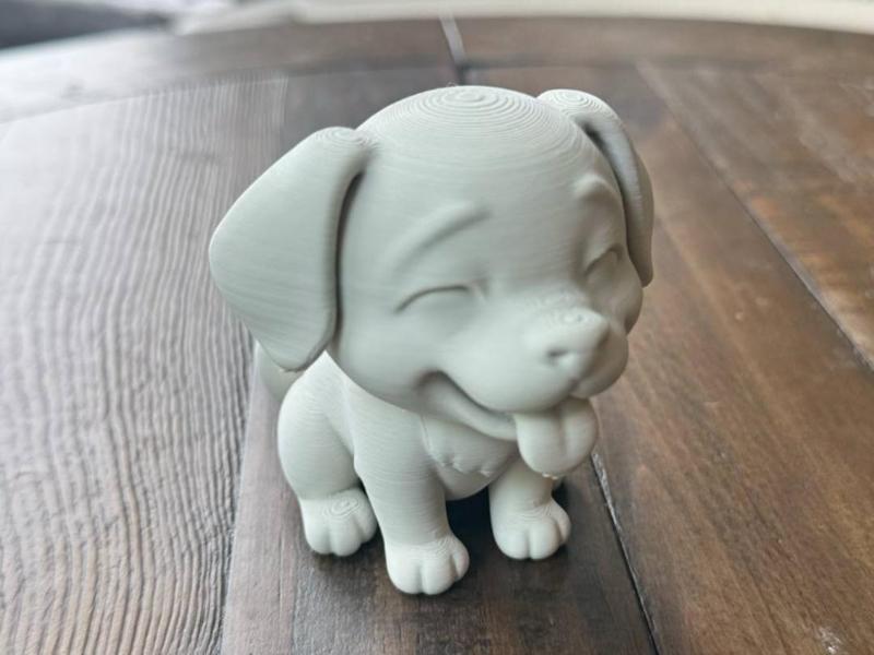 Happy Dog Labrador