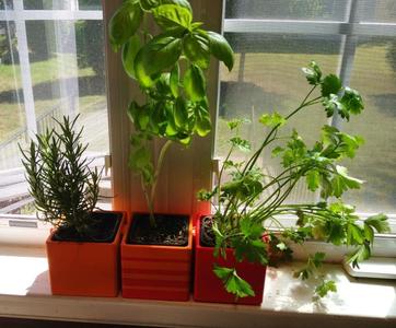 Modular Interlocking Windowsill Herb Pot