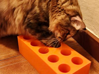 Cat toy brick with holes