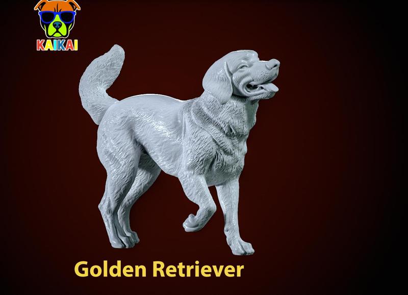 Golden Retriever Dog Positions Urban vibes