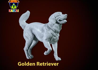 Golden Retriever Dog Positions Urban vibes