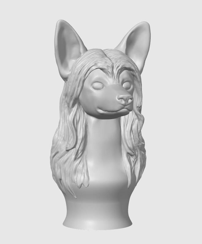 Chinese Crested Hairless Bust