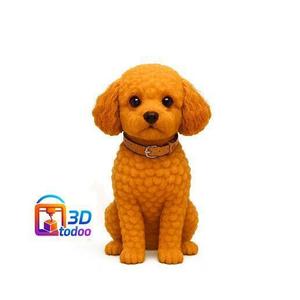 Maltipo Dog