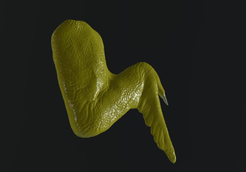 Chicken wing