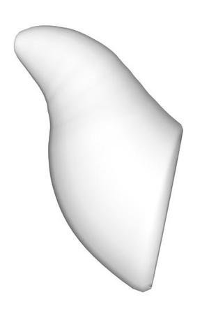 Love Live Little Devils Horns