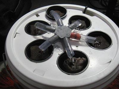 Easy DIY hydroponics kit