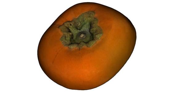 The Persimmon-Upper Half