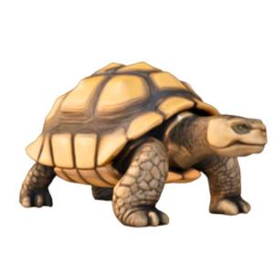 Stylized Tortoise