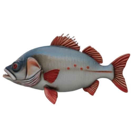 Detailed Fish