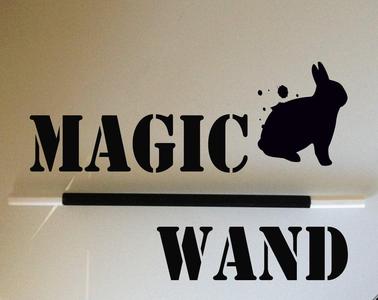 A Customized Magic Wand