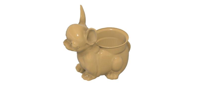 chihuahua or potted staggered gourd