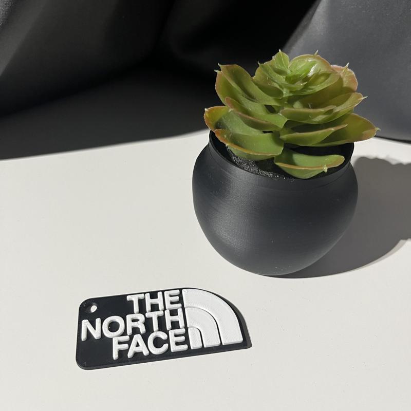 THE NORTH FACE KEYCHAIN