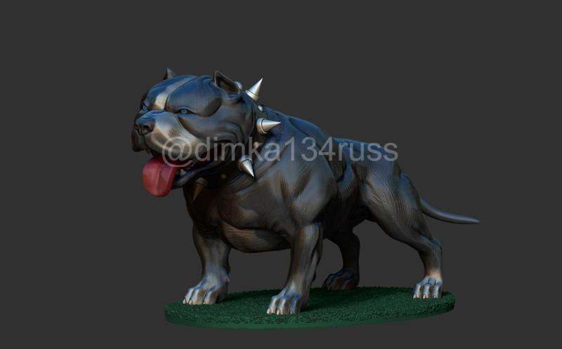 pit bull