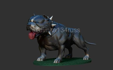 pit bull