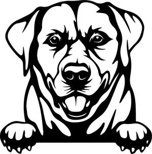 Labrador dog decoration