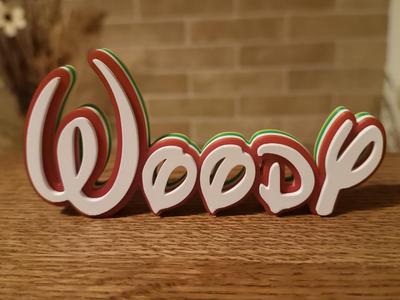 Disney Name Sign Woody Kid Room Wall Decor Tag 