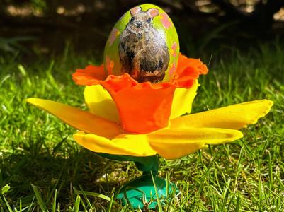 Daffodil Egg Cup (based on real scanned flower) 