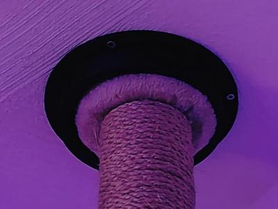 Ceiling mount for cat tree