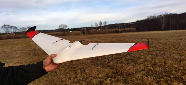 DUCK - RC Delta Wing
