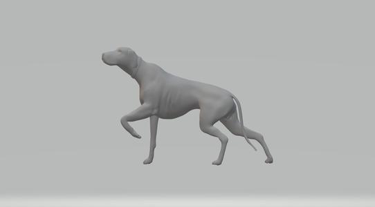 English Pointer 3D print model