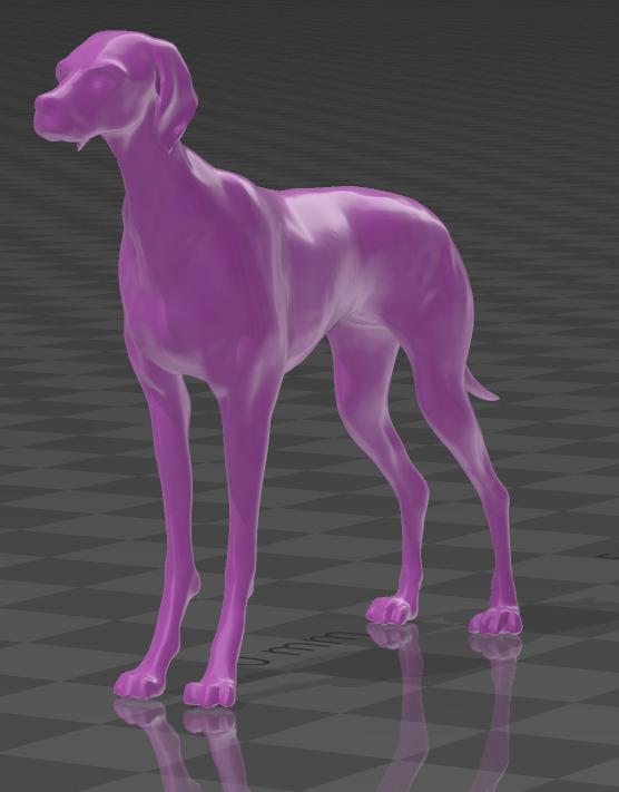 German_Shorthaired_Pointer Dog