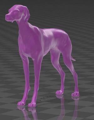 German_Shorthaired_Pointer Dog
