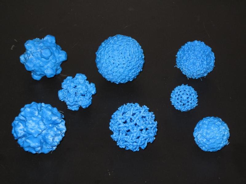 Infectious Pathogens