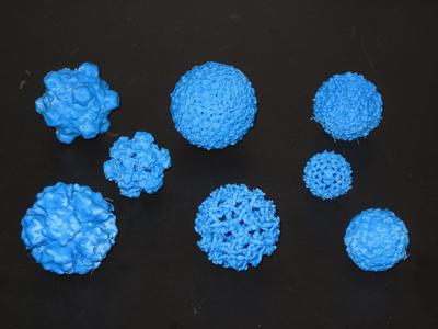 Infectious Pathogens