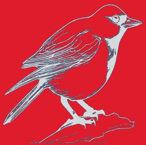 Bird Wall Art