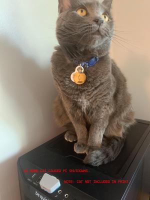 Cat-Proof PC Power Button Cover (BeQuiet 500DX and most other cases)