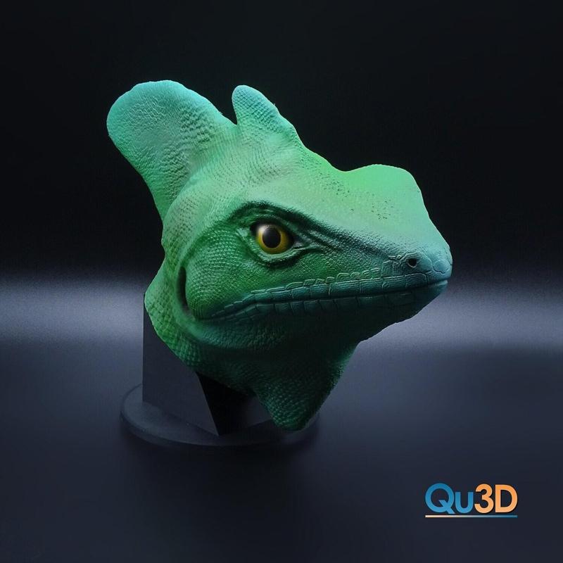 Basiliscus plumifrons frontal lobe basilisk, portrait