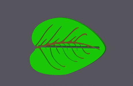 Leaf 2 - Toothpaste Squeezer