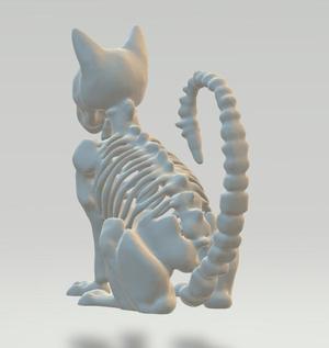 Skeleton Cat