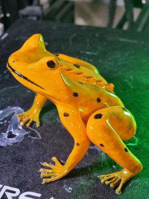 Frog with sound effect