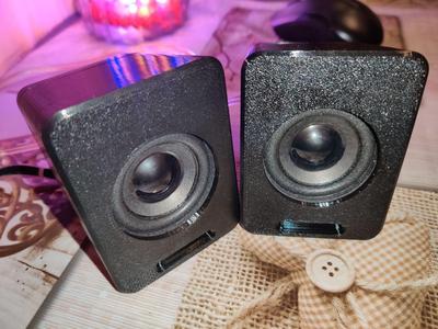 AIYIMA 10W 2inch