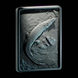 Volumetric crocodile frame - Volumetric crocodile frame