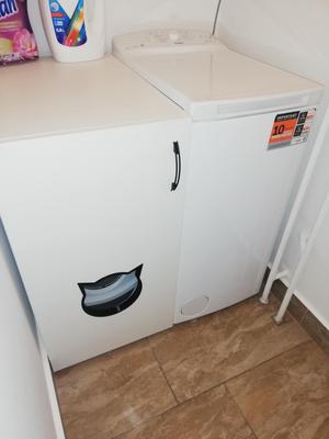 Cat door