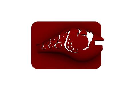 Lure Stencil - Rapala DT6 Orig (craw9)