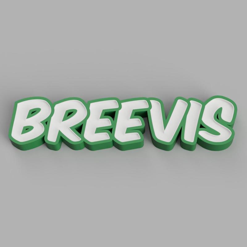 NAMELED BREEVIS - LED LAMP WITH NAME
